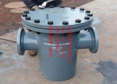 籃式過(guò)濾器